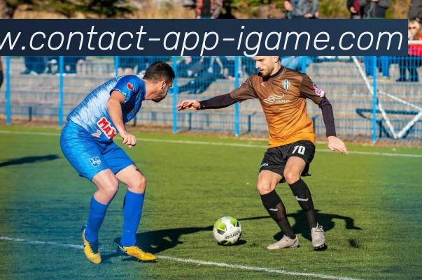 爱游戏APP服务体系